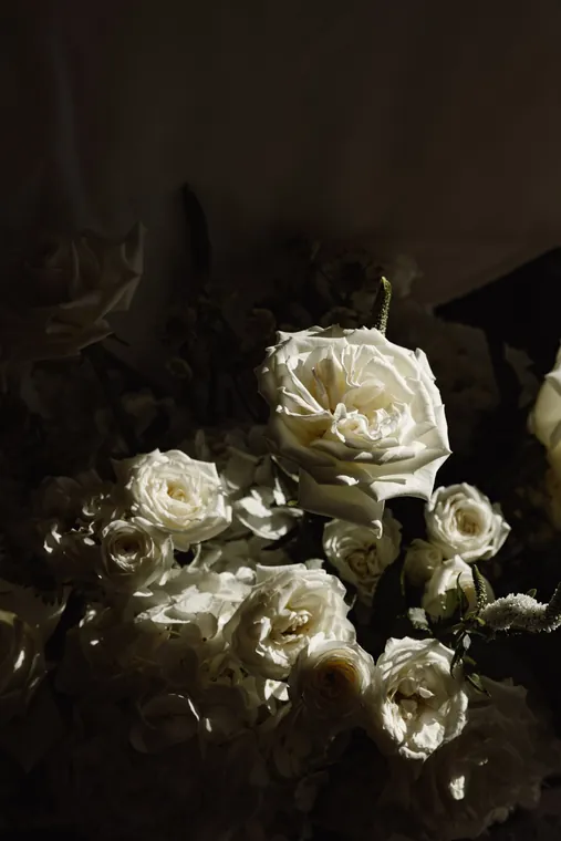 White roses emerging out of darkness